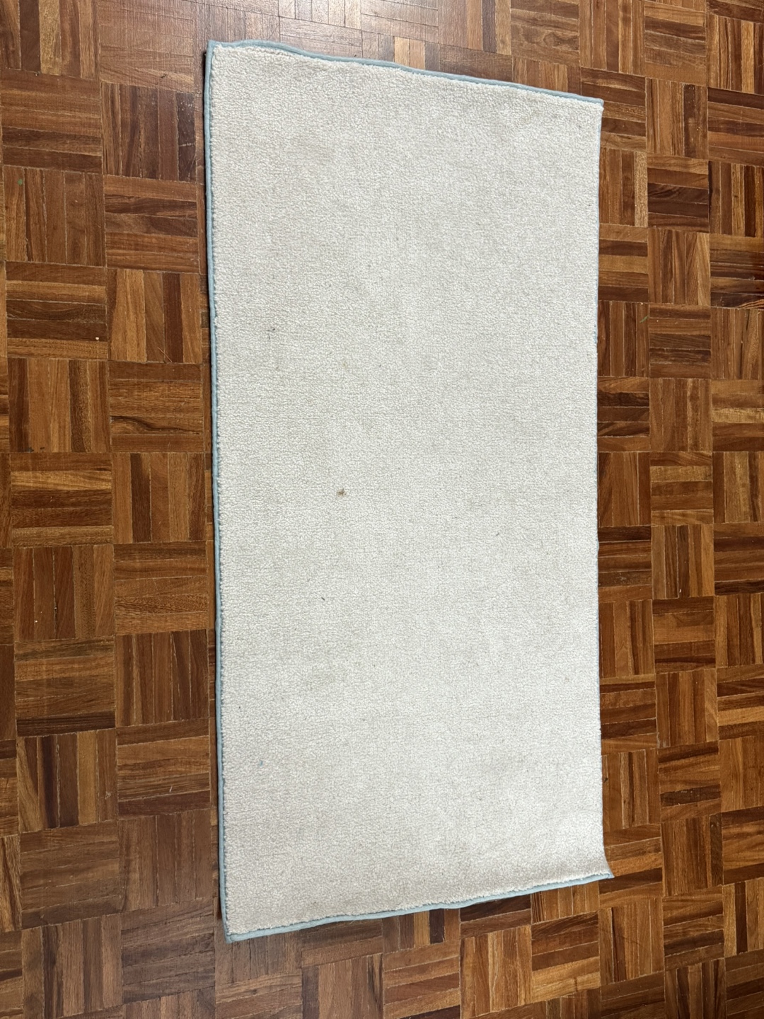 White Rug - photo 2