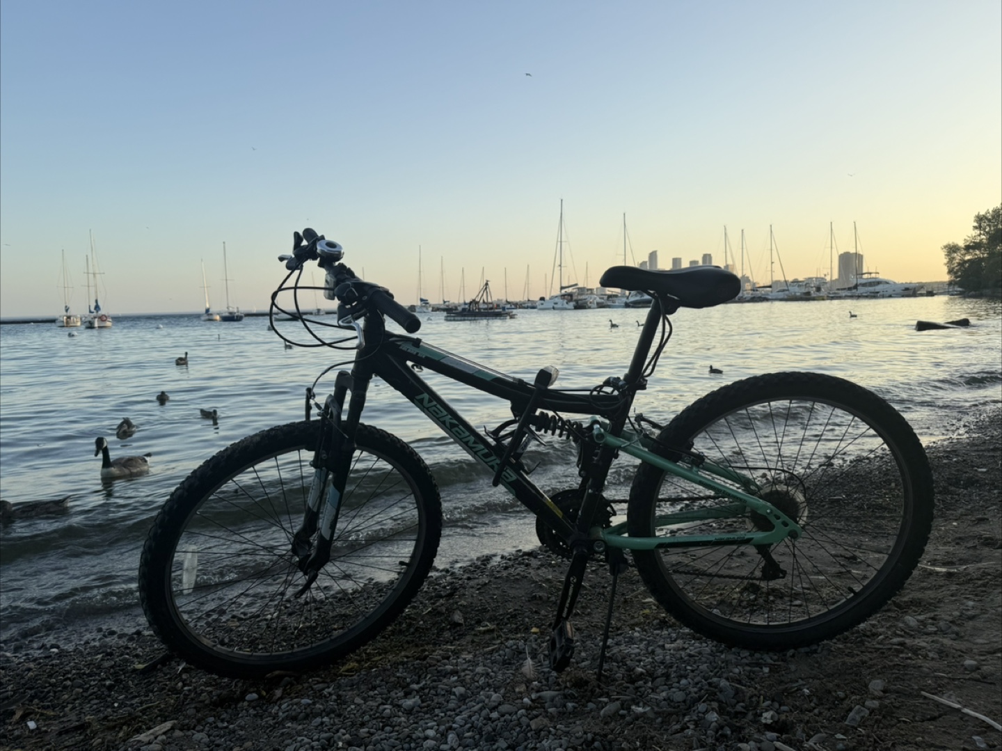 Nakamura Mountain Bike - photo 2