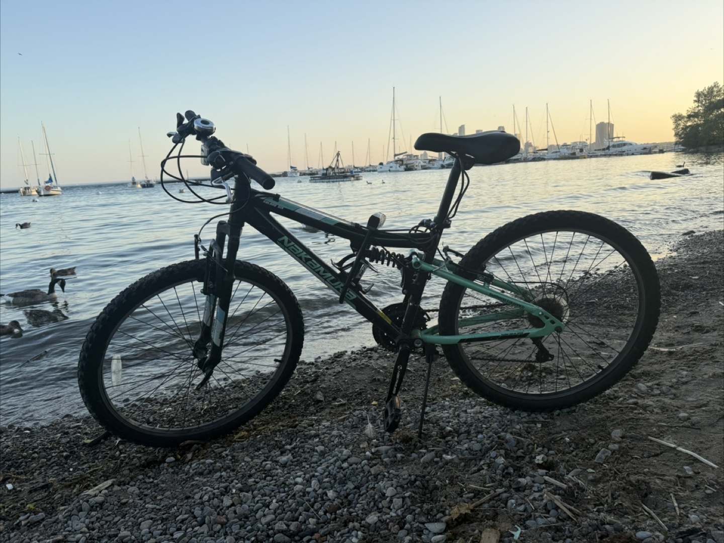 Nakamura Mountain Bike