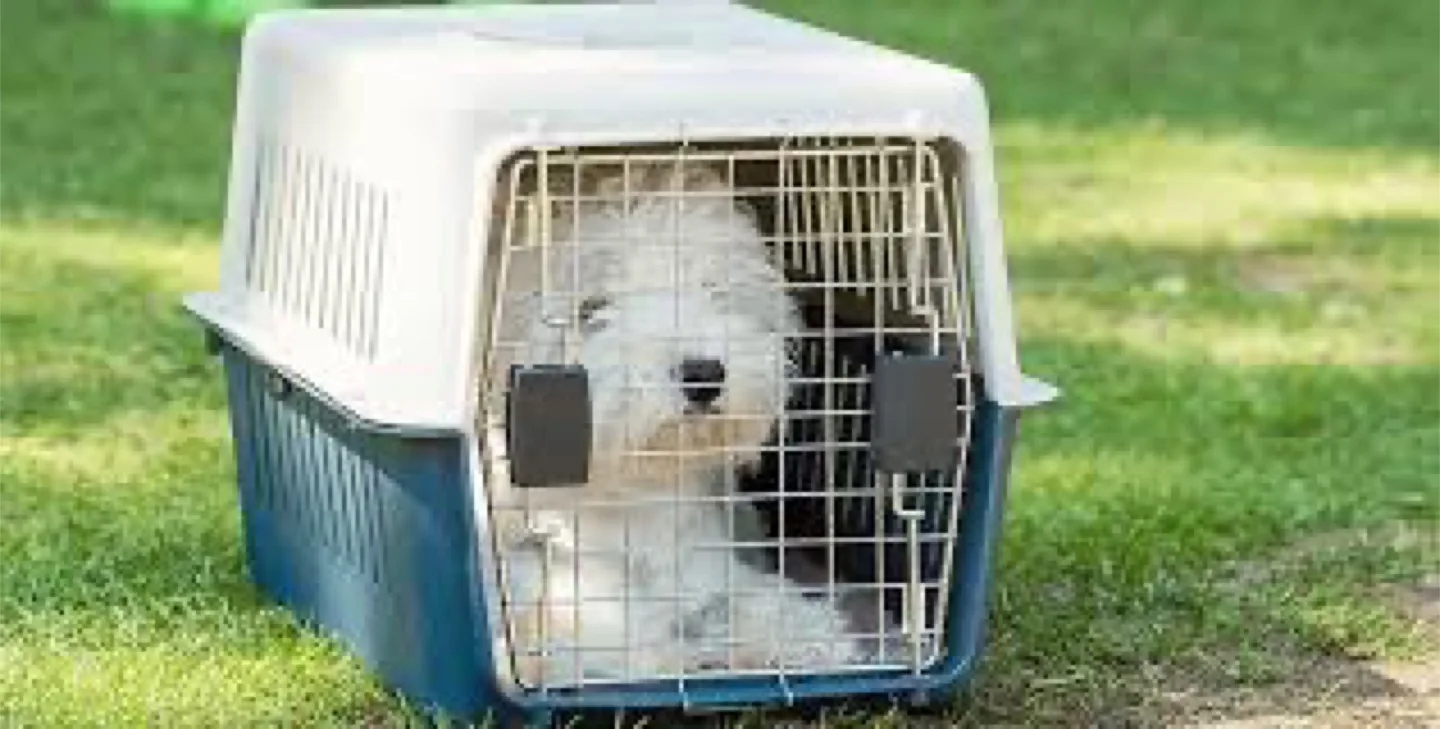 Petmate Transport Kennel Cage image indicator(9)