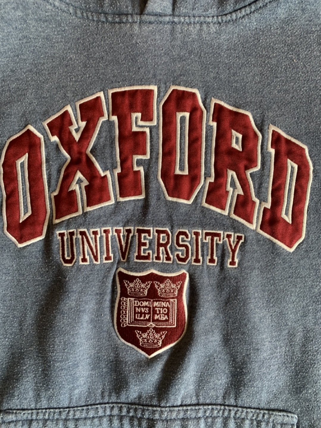 Oxford University Hoodie - grey - photo 2