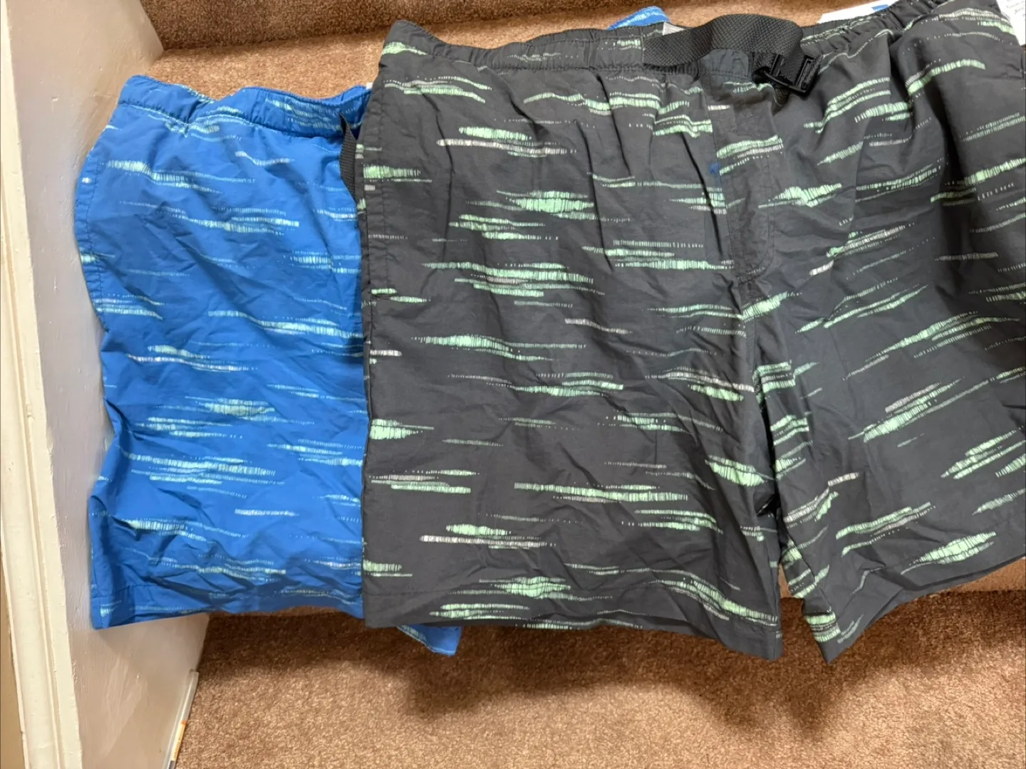 Two Pairs of Swim Trunks thumbnail