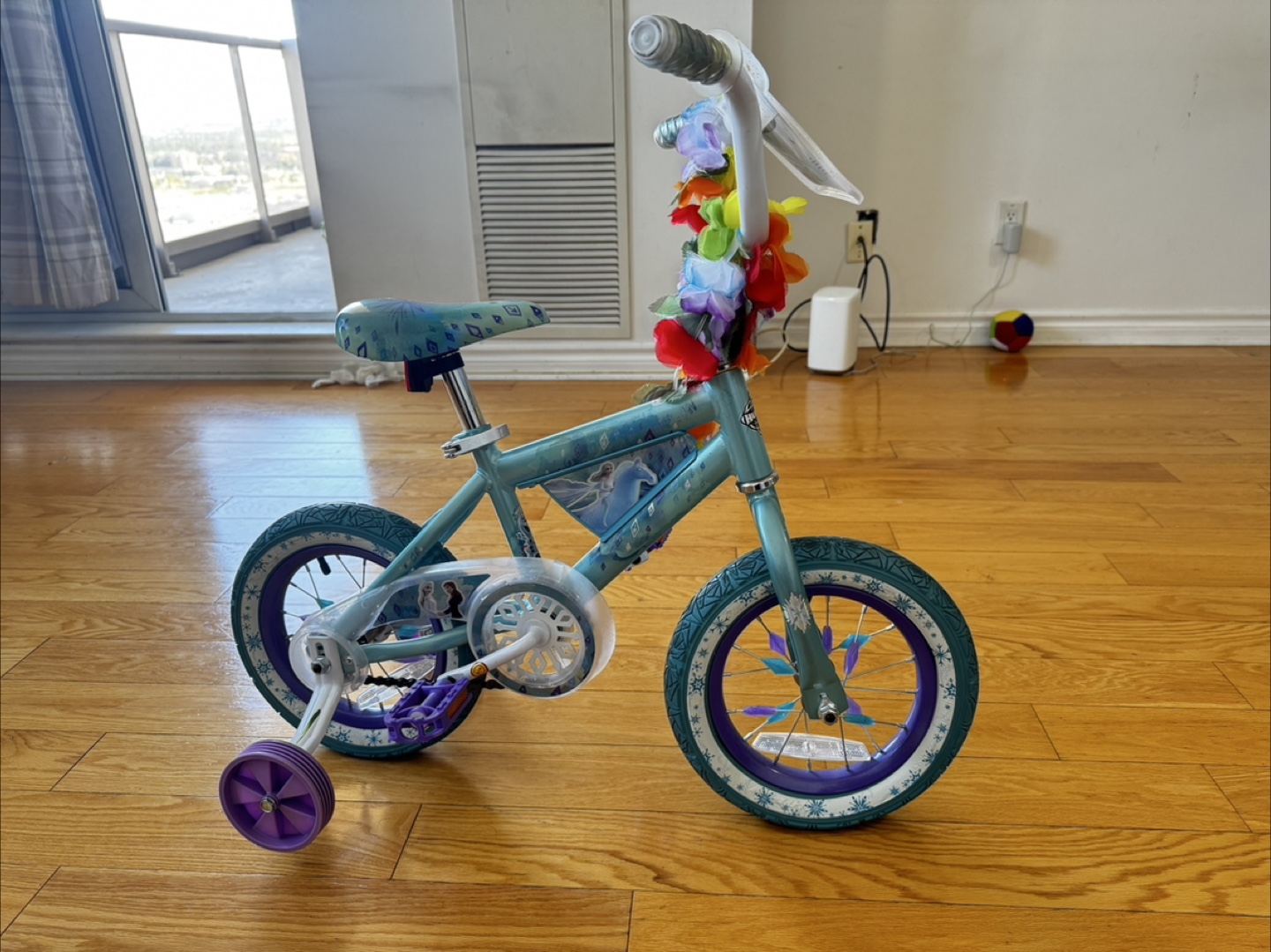 Disney Frozen Kids Bike with Training Wheels