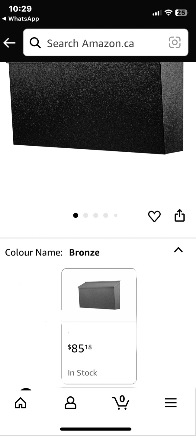 Bronze Mailbox