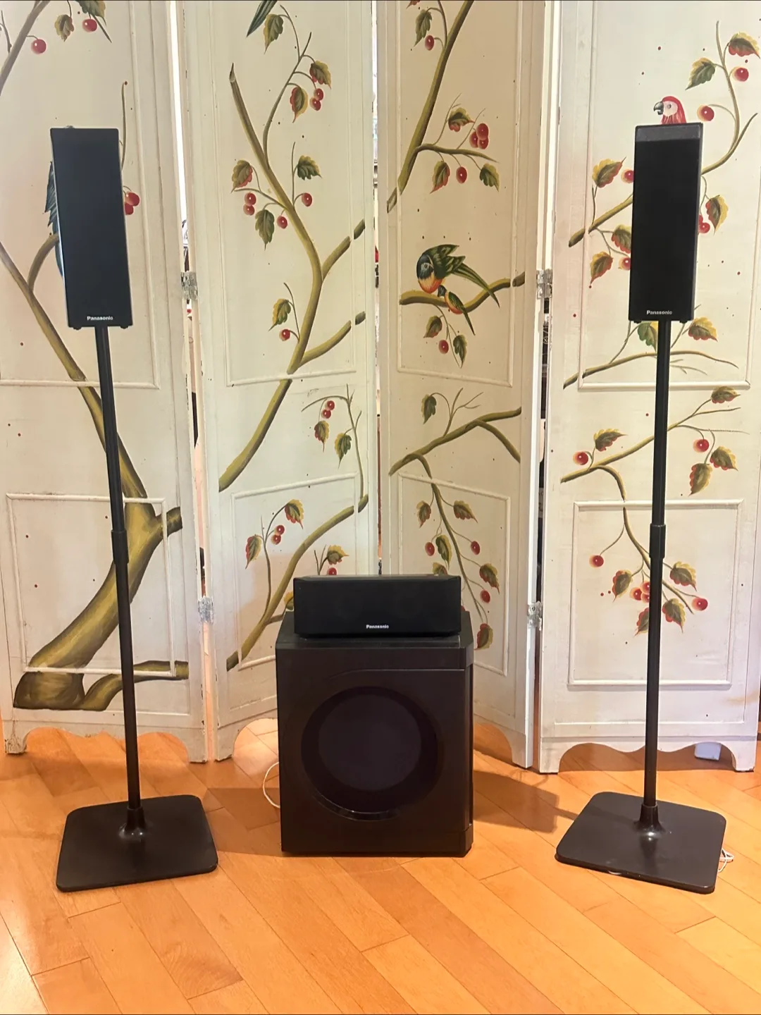 Panasonic Home Theatre Speaker System thumbnail