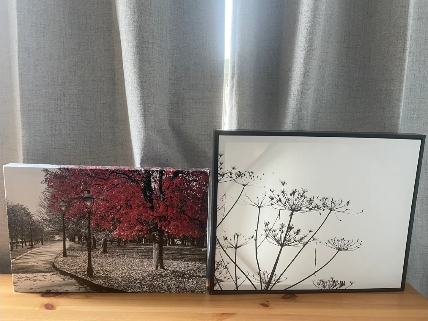 Framed Wall Art - Floral & Landscape Prints 🇨🇦 thumbnail