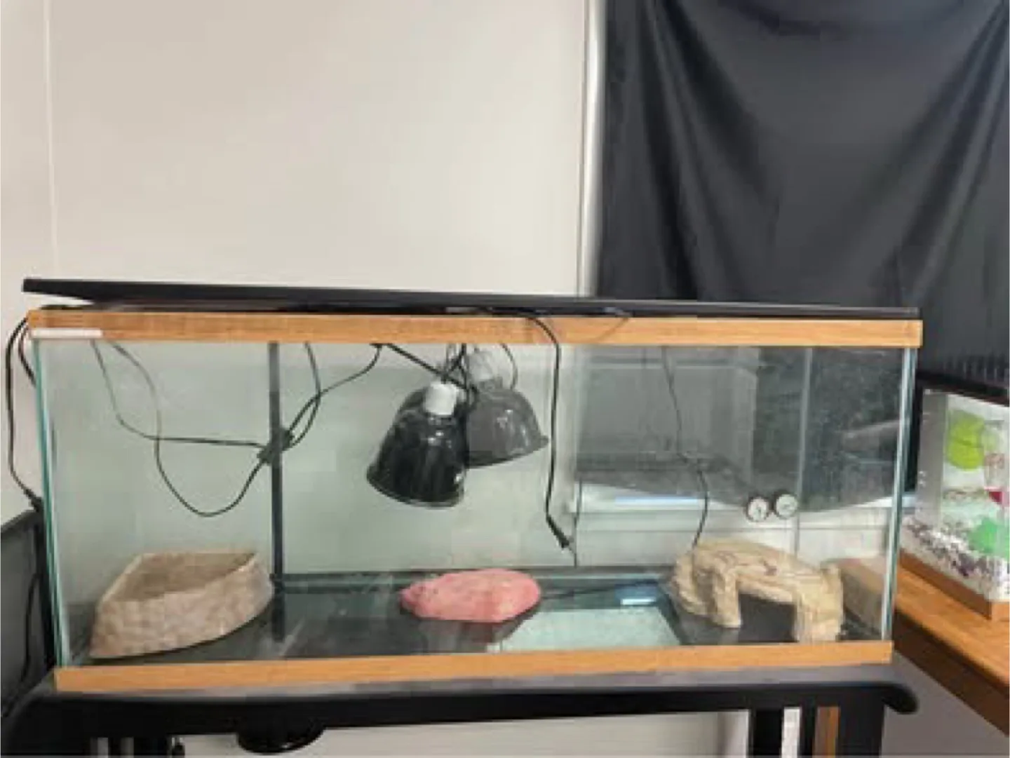 75 gallon reptile tank setup (READ DESCRIPTION) thumbnail