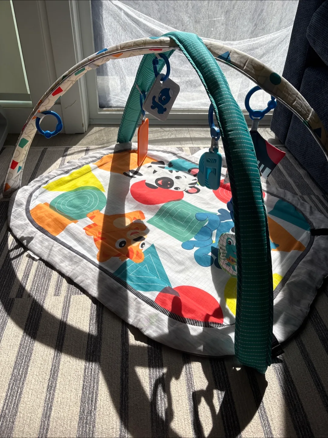 Baby Play Mat with Activity Gym 🇨🇦 thumbnail