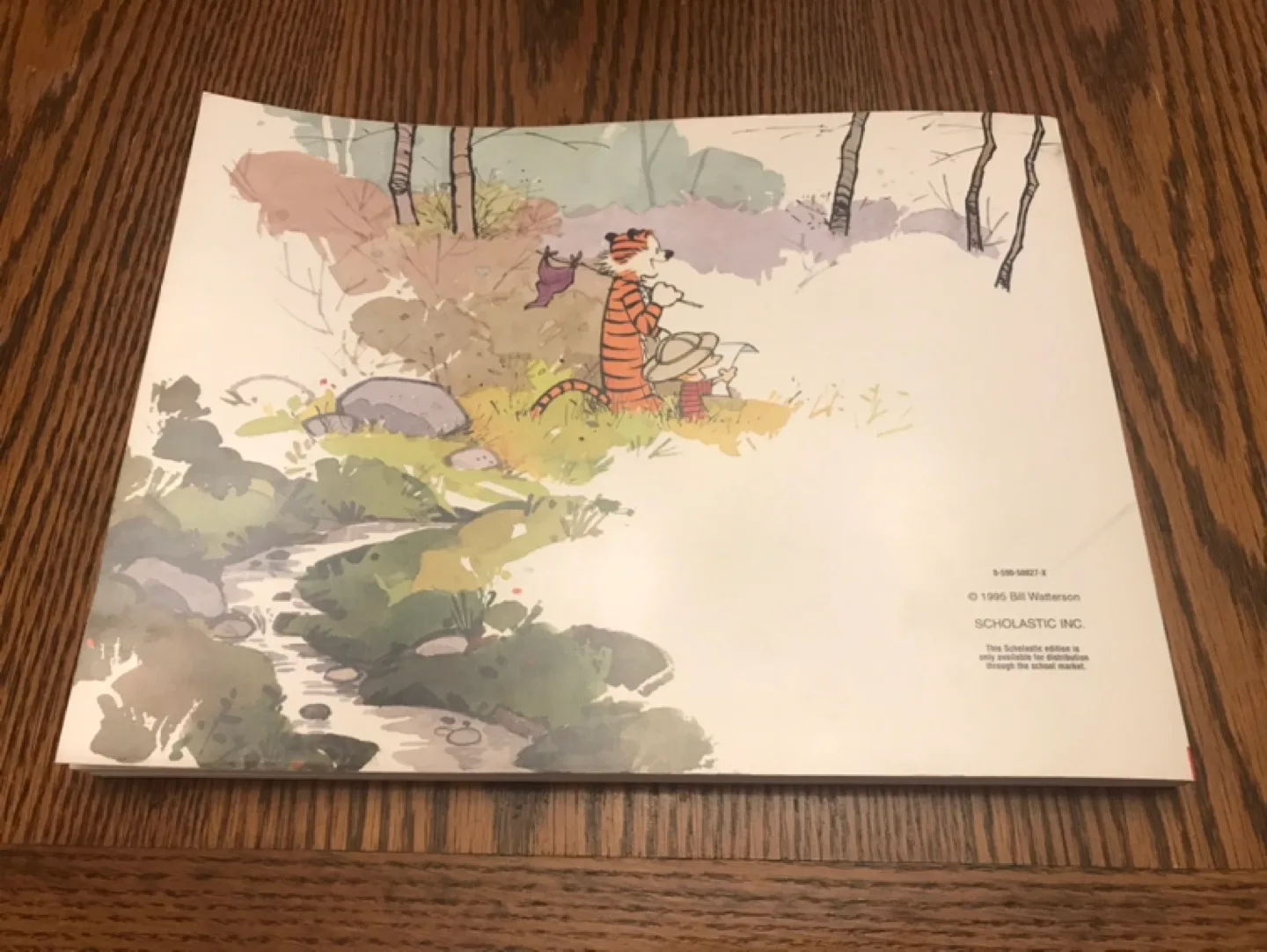 Calvin and Hobbes Tenth Anniversary Book image indicator(2)