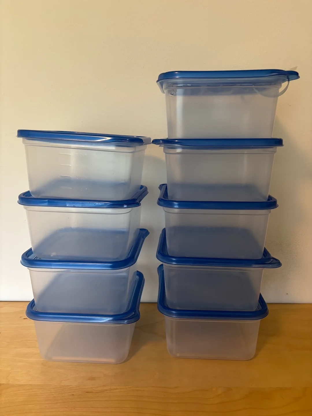 9 Ziplock Containers 🇨🇦 thumbnail