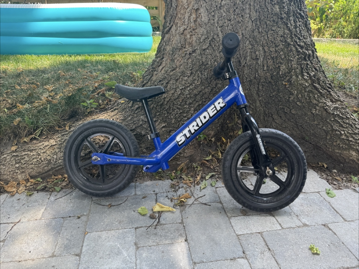 Strider Balance Bike - Blue