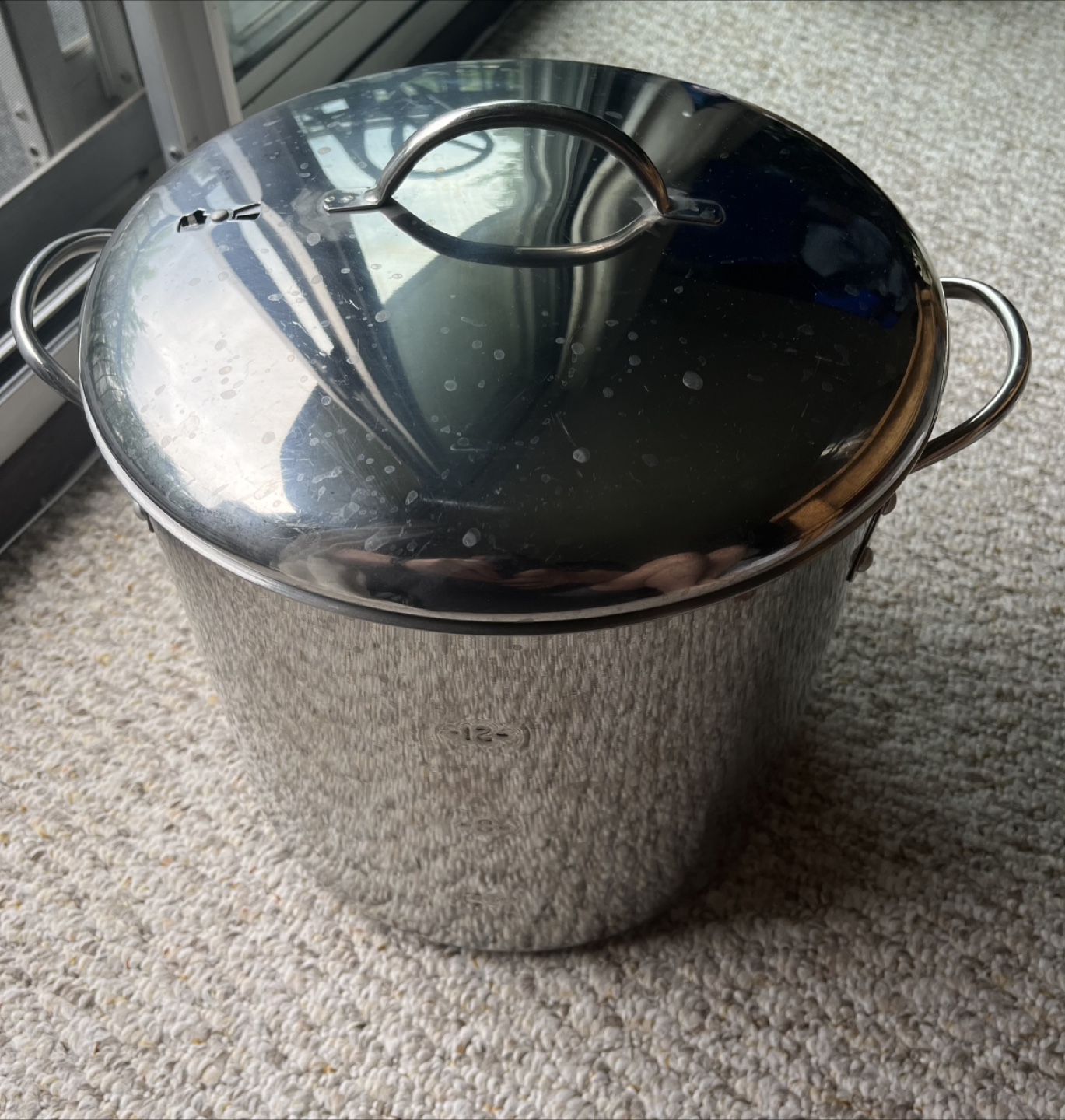 Large Stainless Steel Stock Pot with Lid