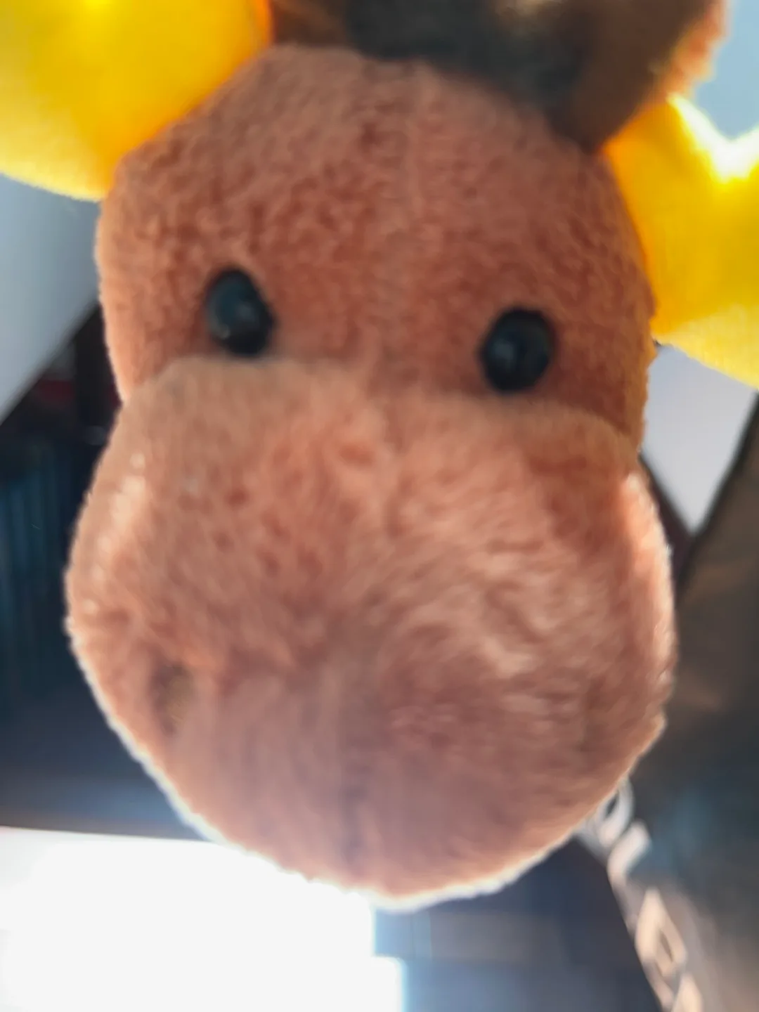 Silly little moose thumbnail
