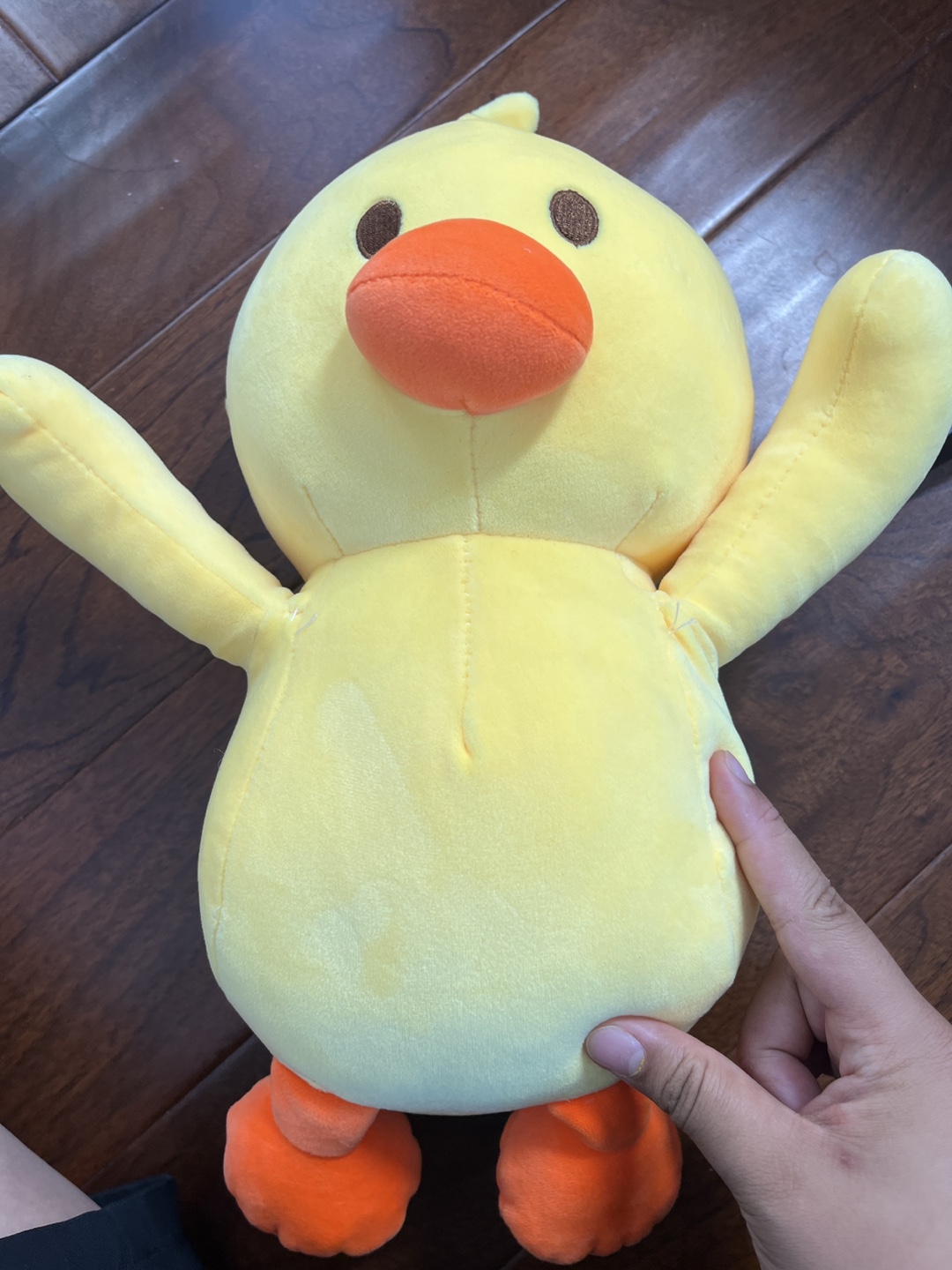Pretty big duck plushie