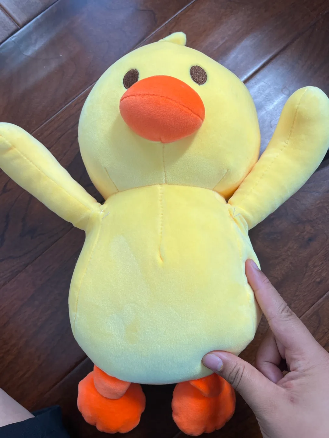 Pretty big duck plushie thumbnail