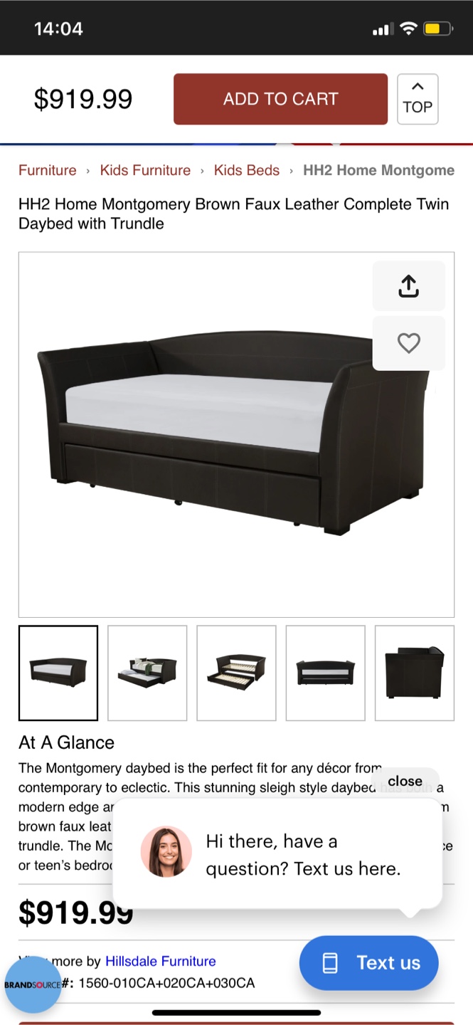 Montgomery Faux Leather Twin Daybed with Trundle (CAN DELIVER) - photo 2
