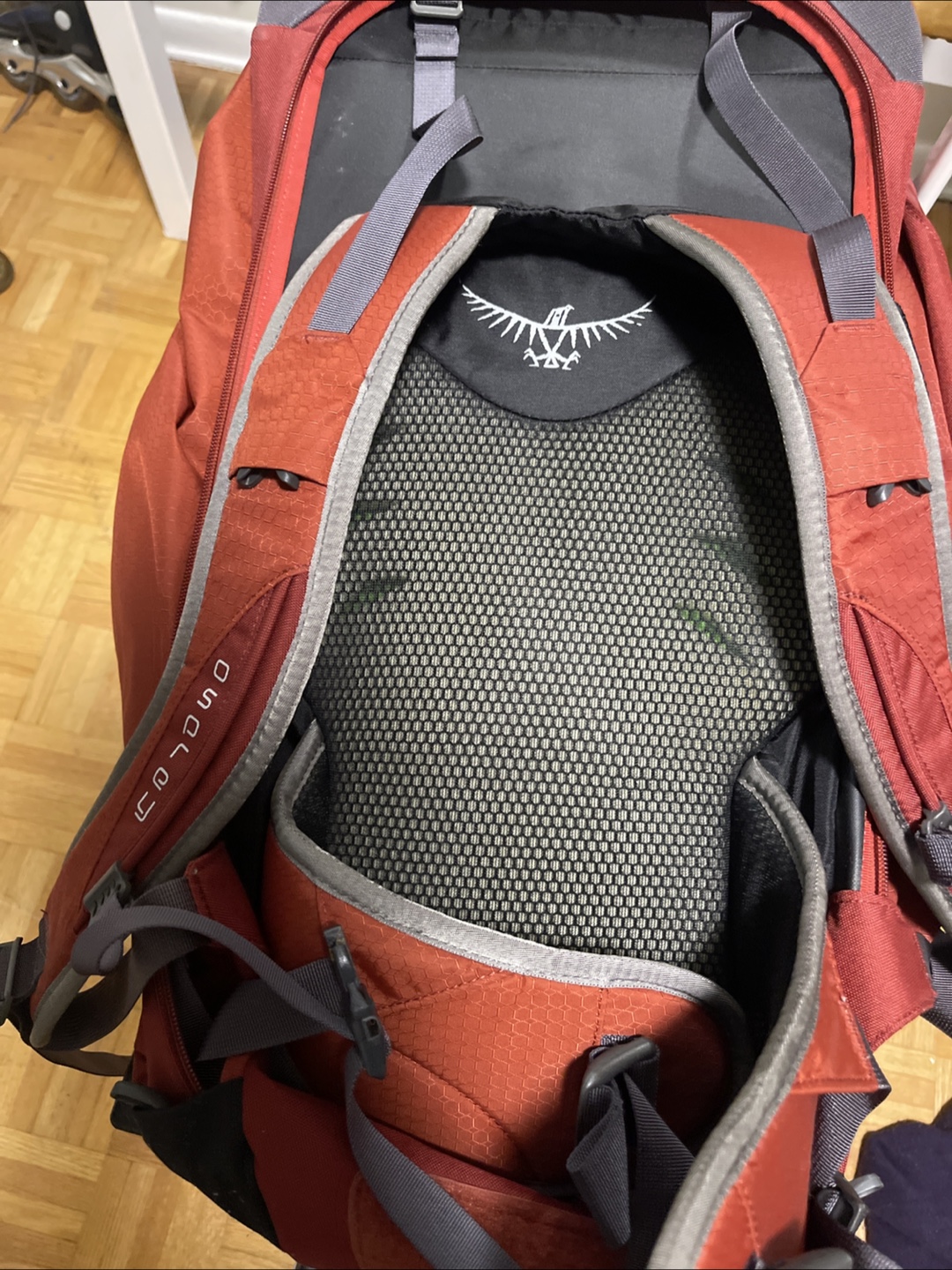Osprey Farpoint 40 Travel Backpack - photo 2