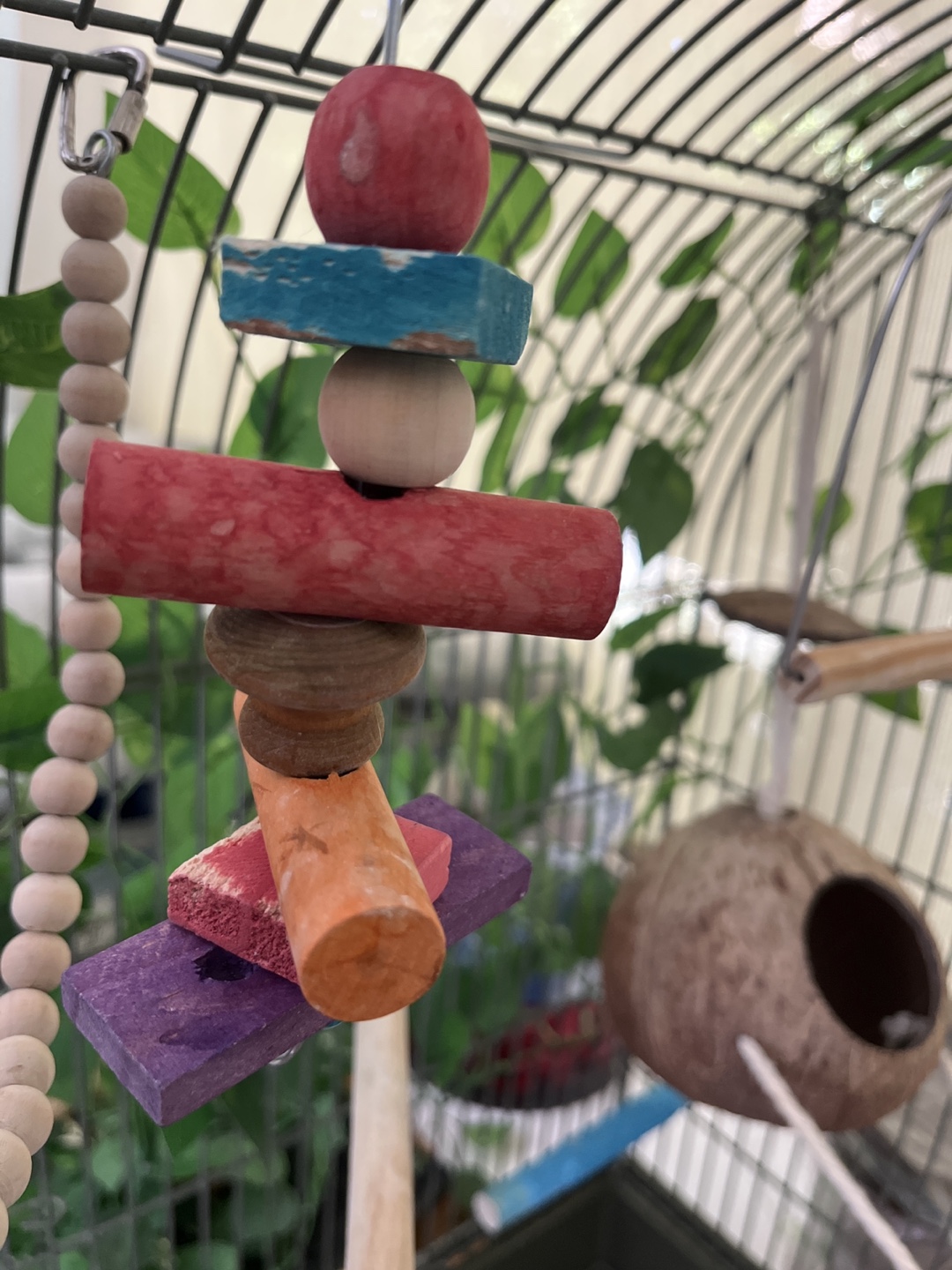 Bird Cage with Accessories - photo 3