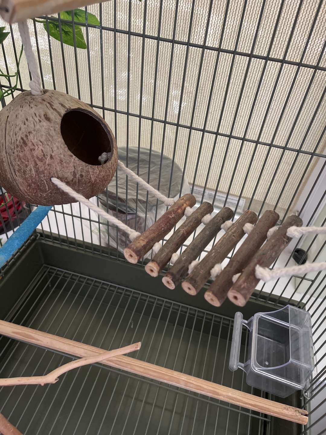 Bird Cage with Accessories - photo 2