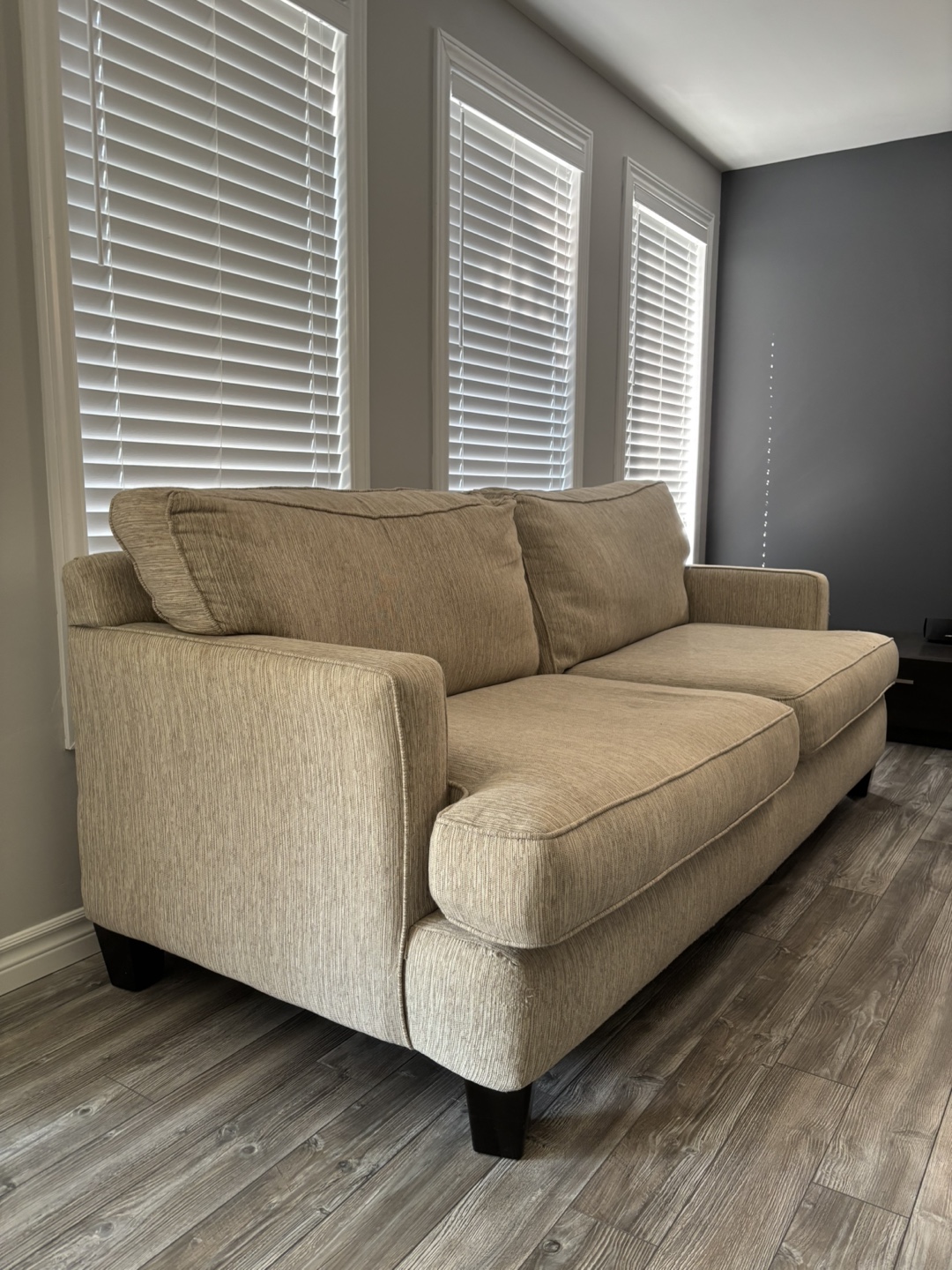 Comfortable Beige Sofa