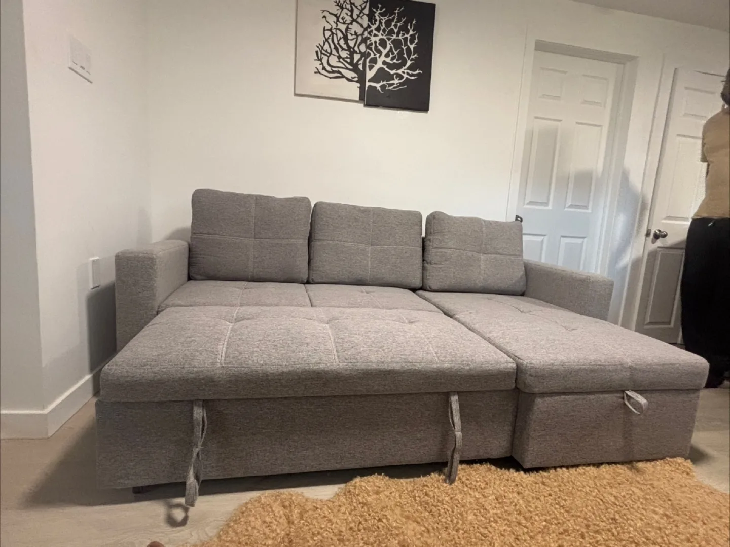 Grey Sectional Sofa Bed with Storage image indicator(4)
