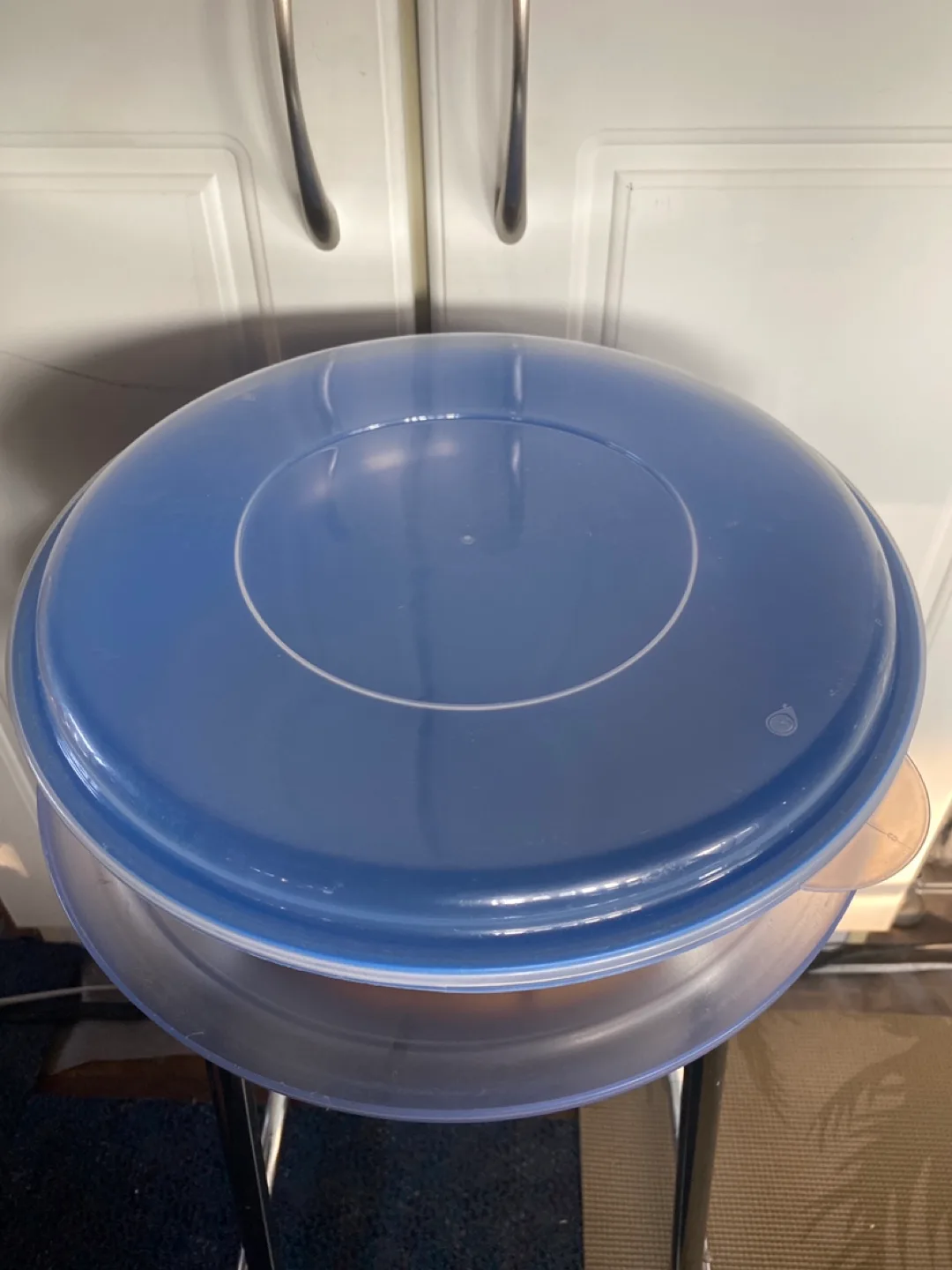 Blue Plastic Cake Carrier 🇨🇦 thumbnail