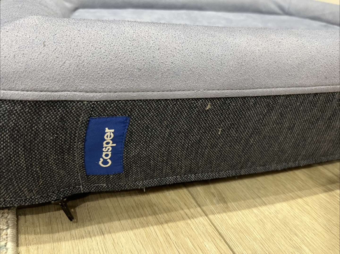 Casper pet bed