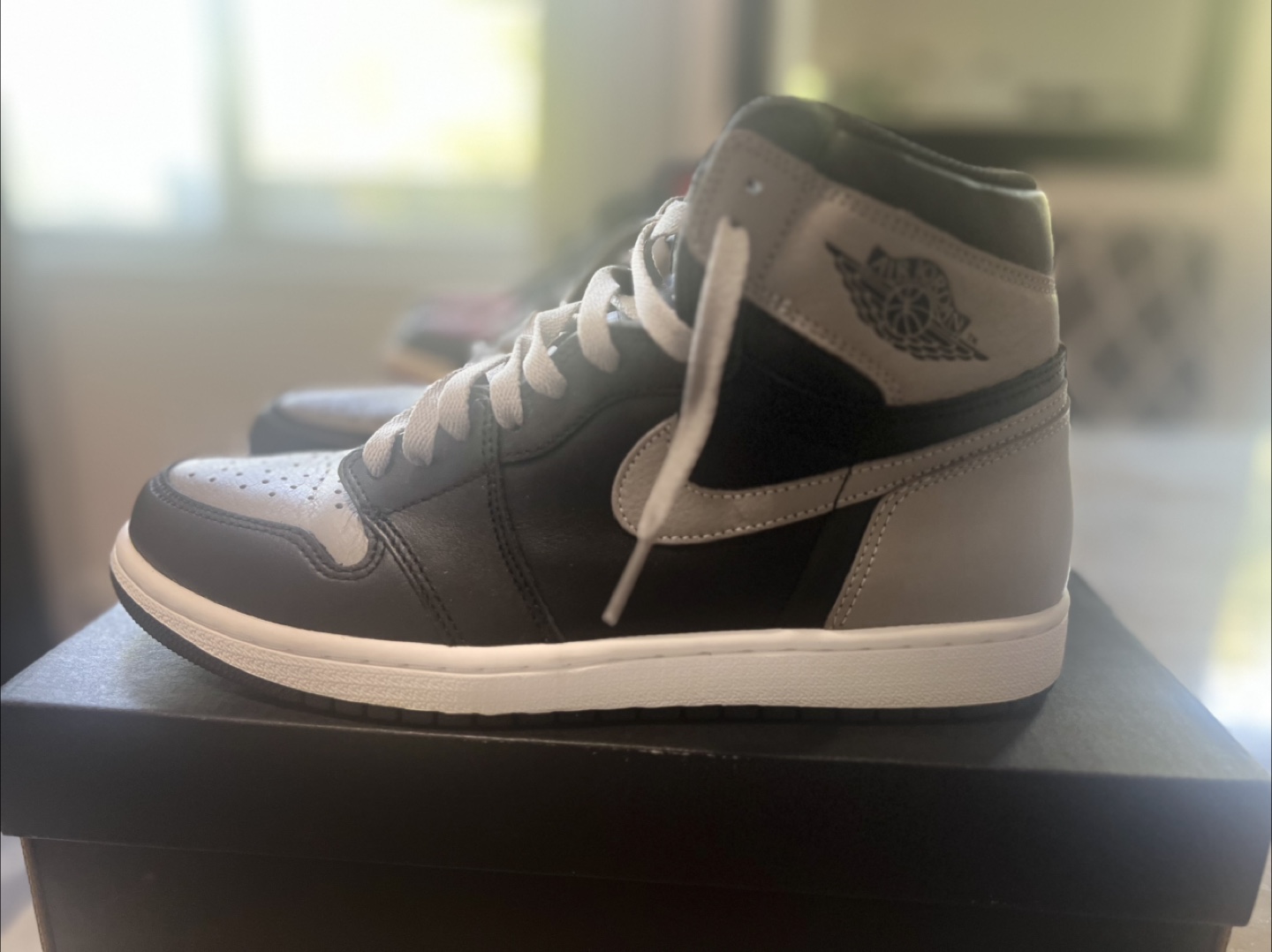 Jordan shadow 1, US size 10.5 - photo 5