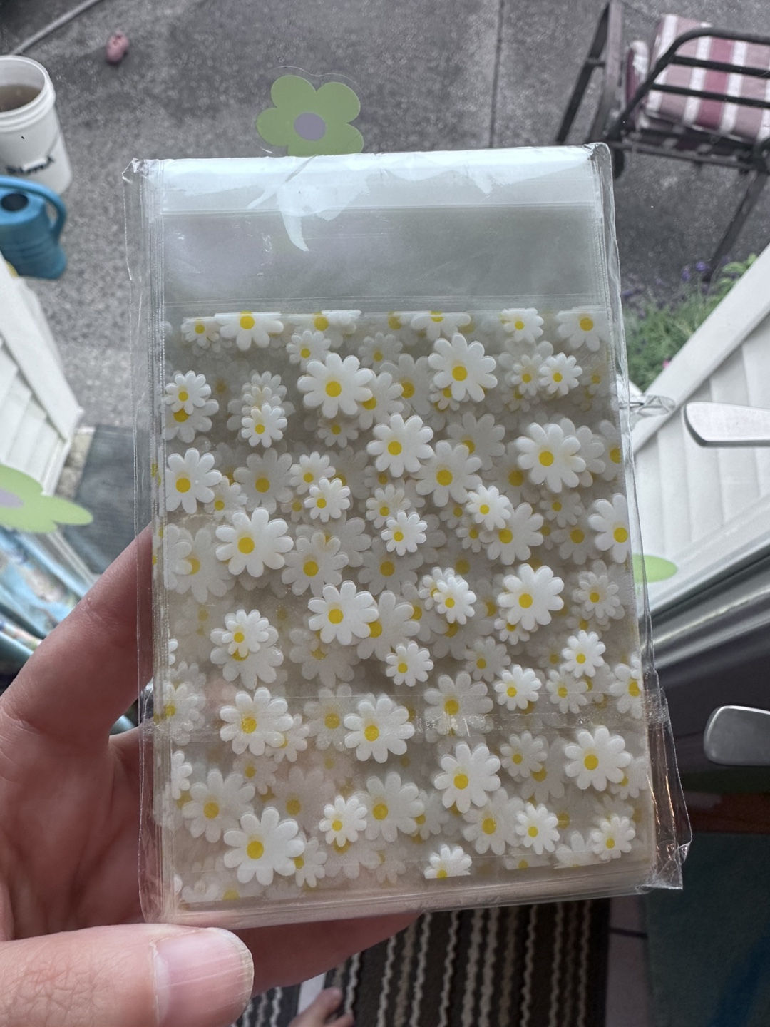 Daisy Pattern Treat Bags