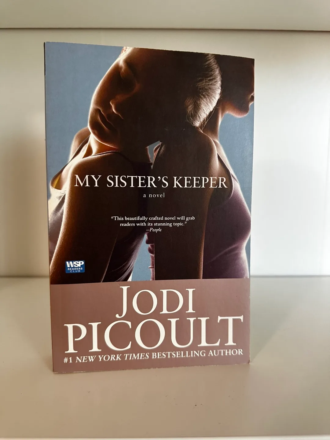 My Sister's Keeper - Jodi Picoult Novel thumbnail