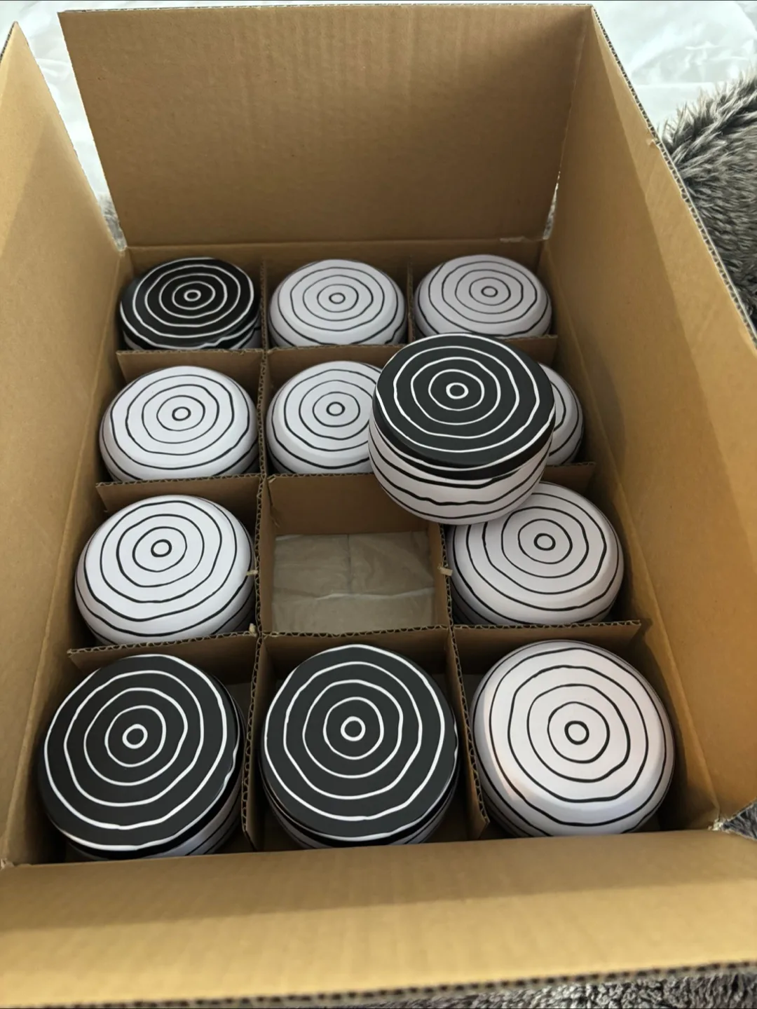 🇨🇦12 Black & White Striped Storage Containers thumbnail
