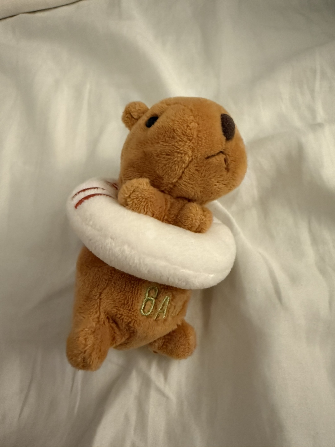 Cute Capybara Plush Birthday (30 Aug) Keychain