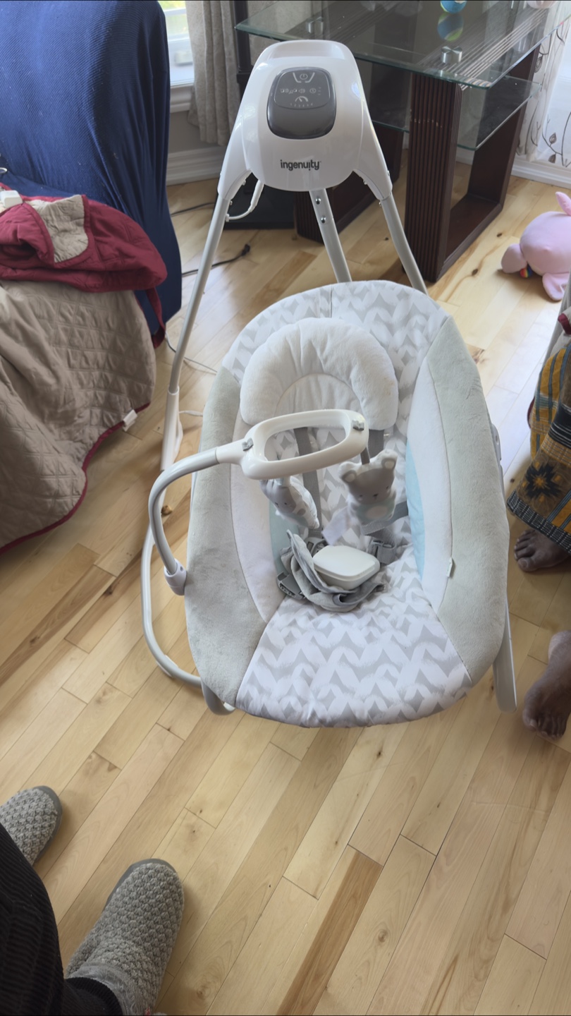 Ingenuity Baby Swing - photo 3