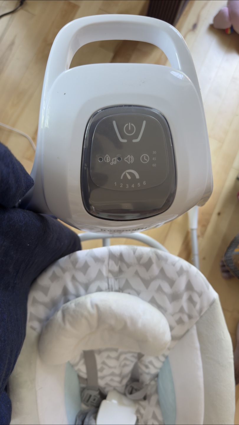 Ingenuity Baby Swing - photo 2