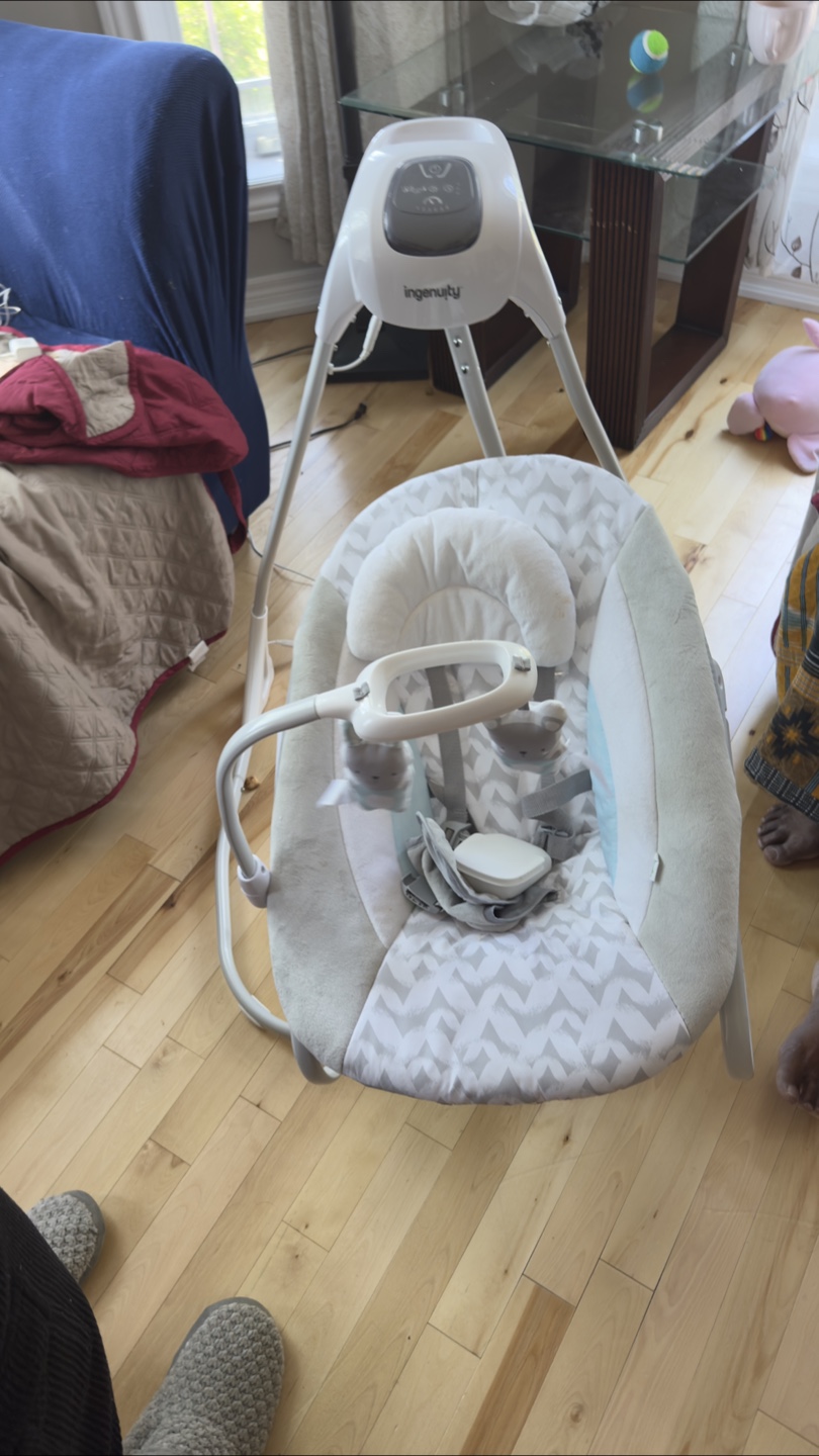 Ingenuity Baby Swing