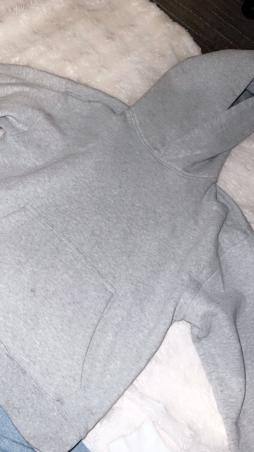 Aritzia perfect fit hoodie