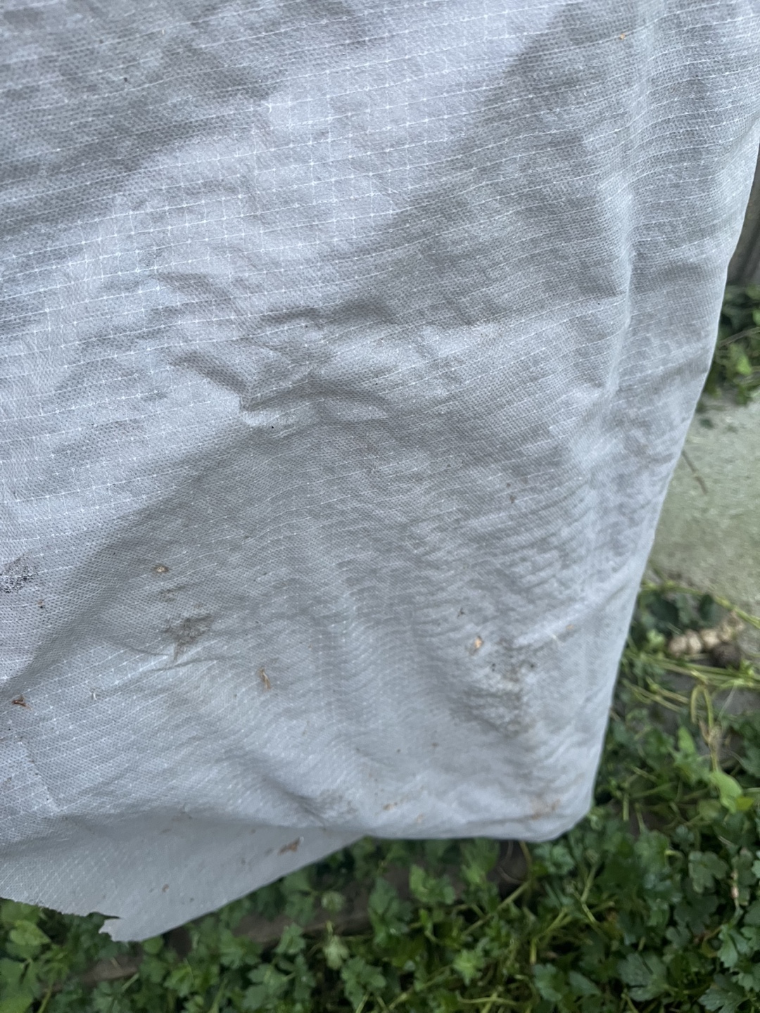 Grey Landscape Fabric - photo 4