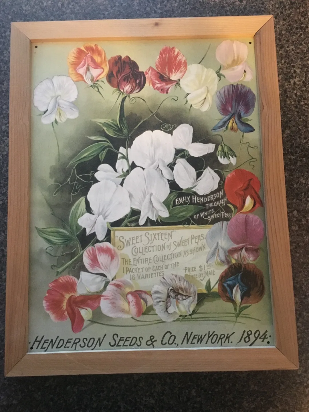 Vintage Tin Henderson Seeds & Co. 1894 Floral Print thumbnail