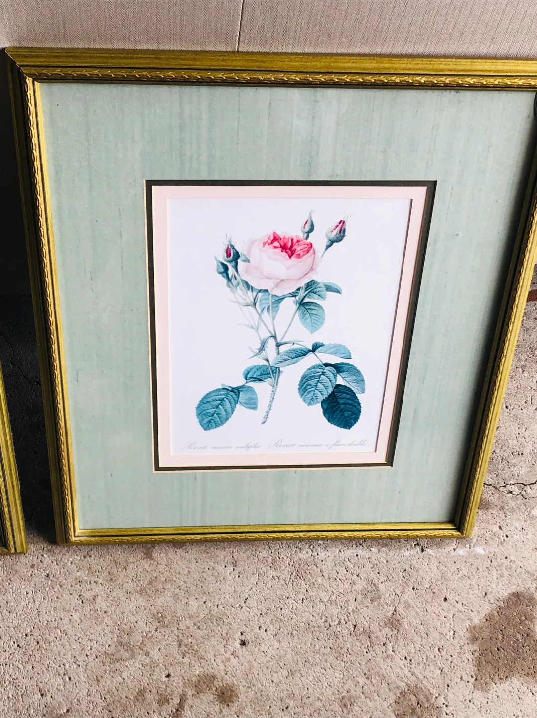 Framed Rose Prints - Set of 2 thumbnail