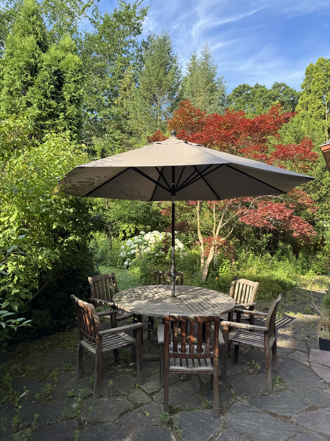 Garden Patio Set - Teak Table and 6 Chairs, plus Umbrella - photo 5