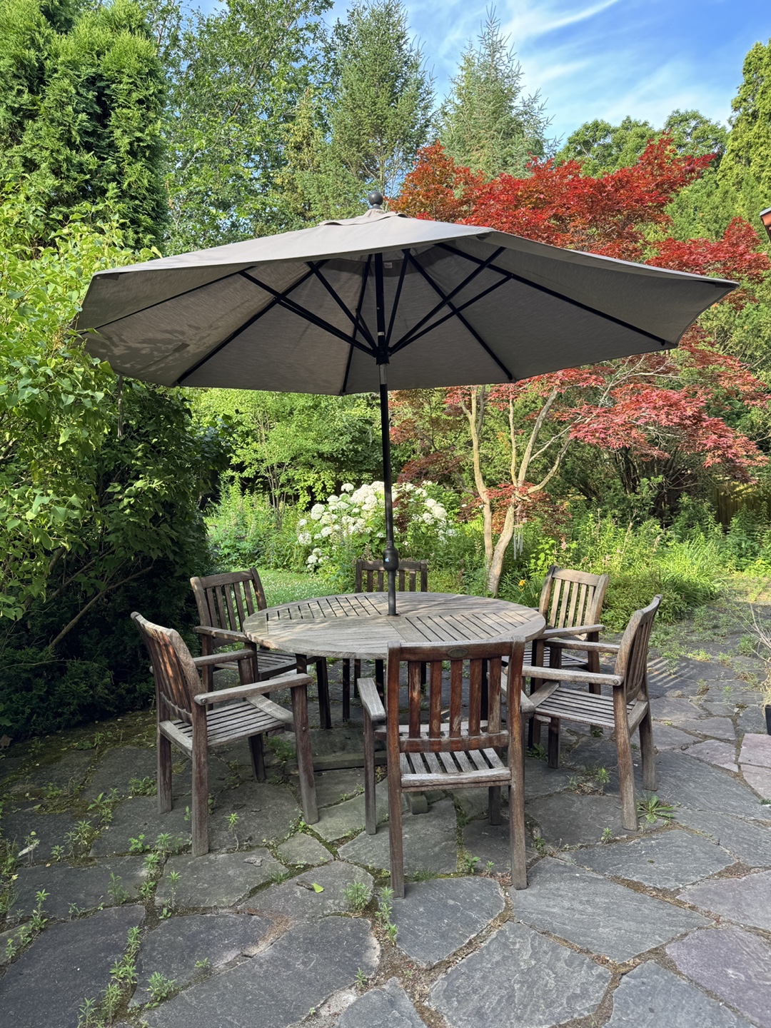 Garden Patio Set - Teak Table and 6 Chairs, plus Umbrella