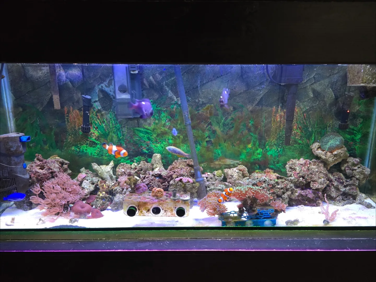 Fish tank with everything inside thumbnail