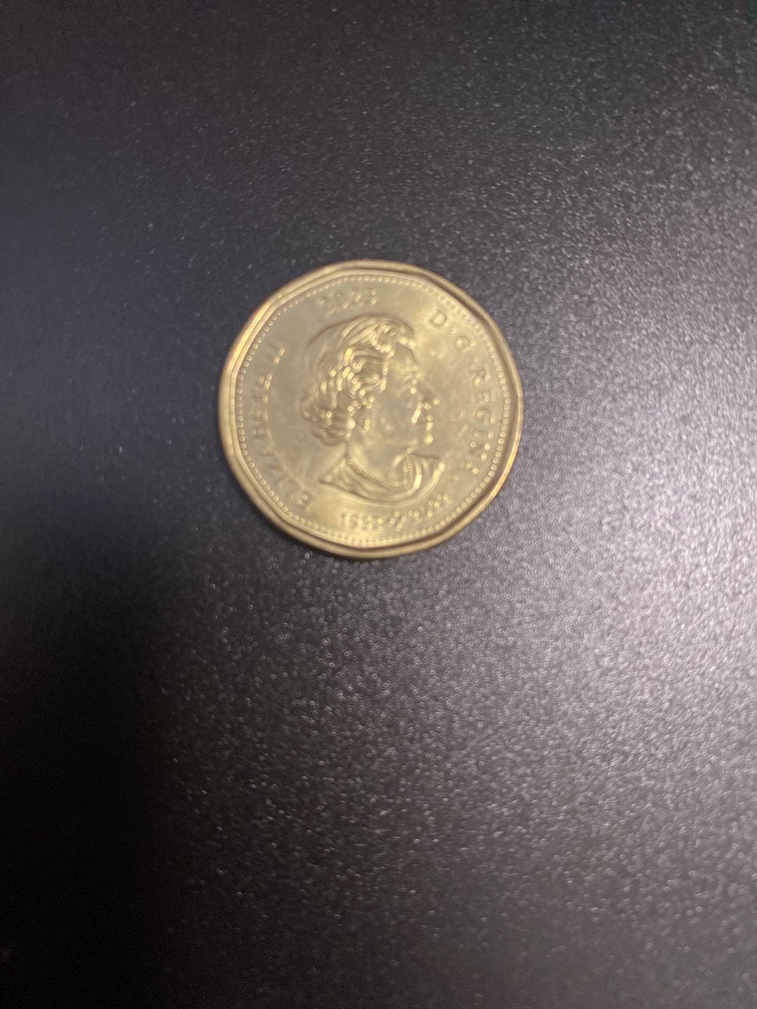 Canadian One Dollar Commemorative Coin - photo 2