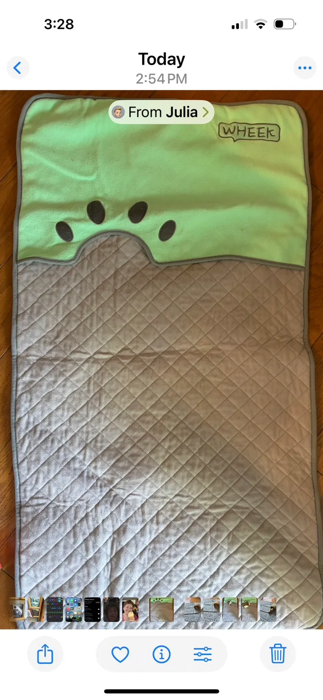 WHEEK Guinea Pig cage liners - Blue & Green image indicator(3)