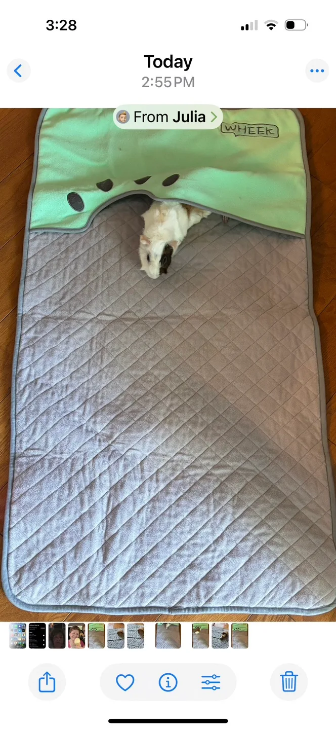 WHEEK Guinea Pig cage liners - Blue & Green image indicator(2)