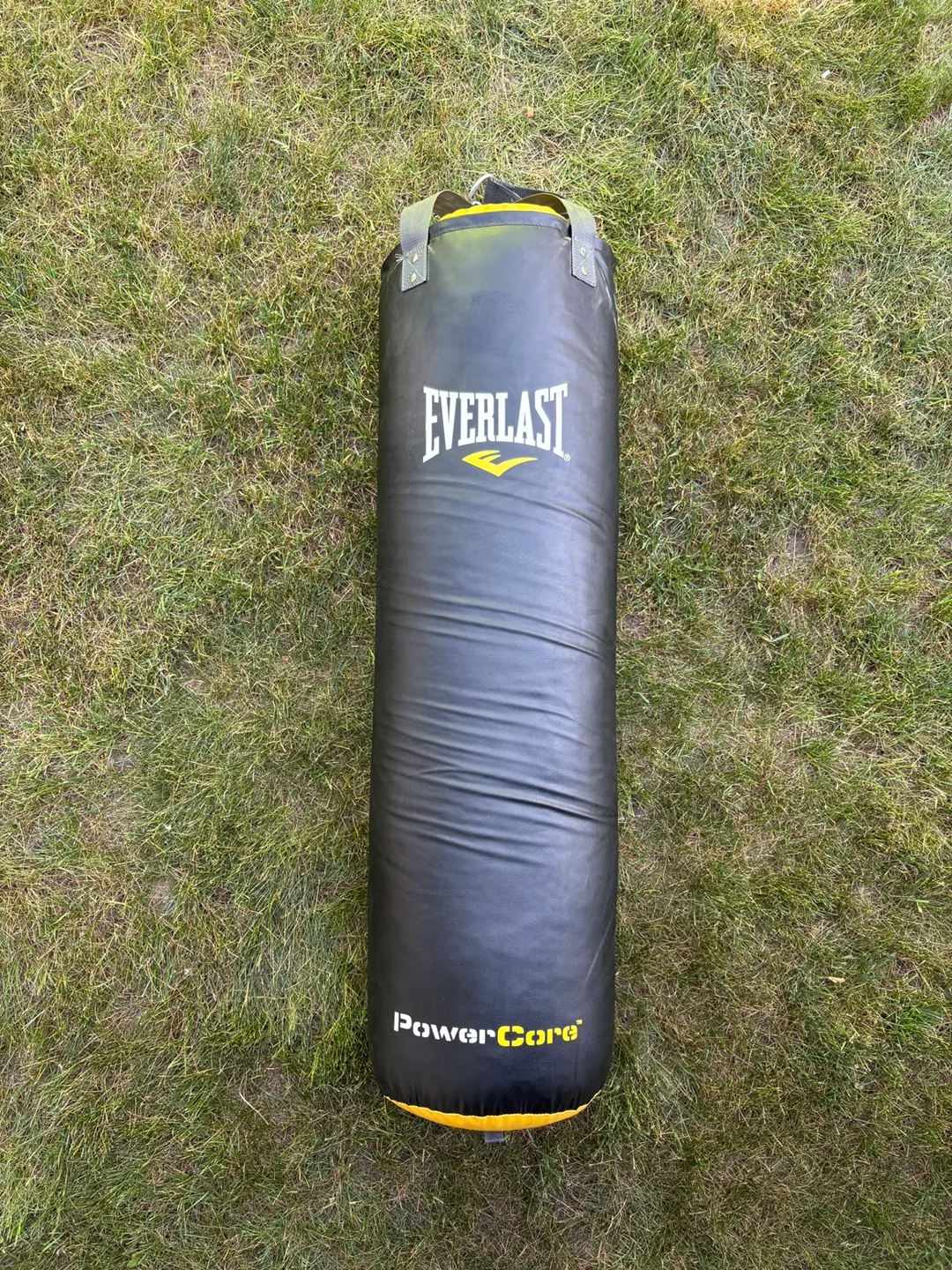 Everlast PowerCore Punching Bag thumbnail
