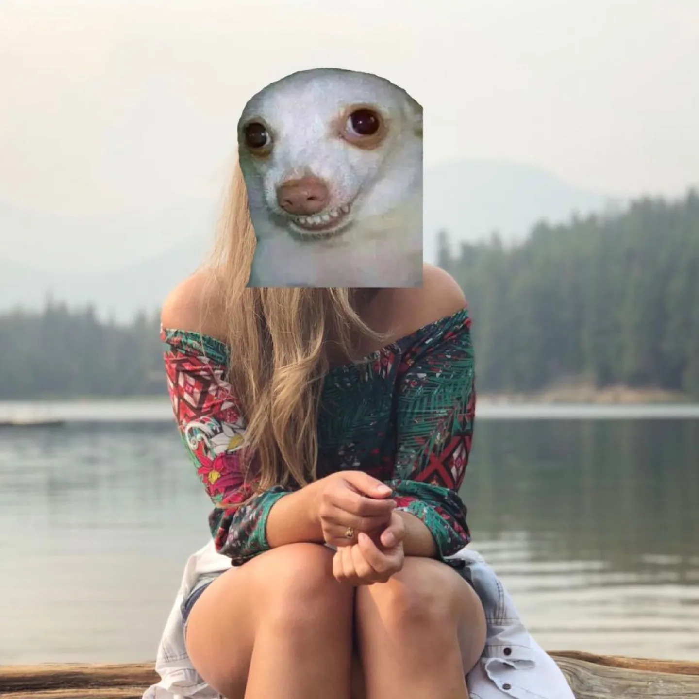 Floral Print Off-the-Shoulder Top image indicator(3)