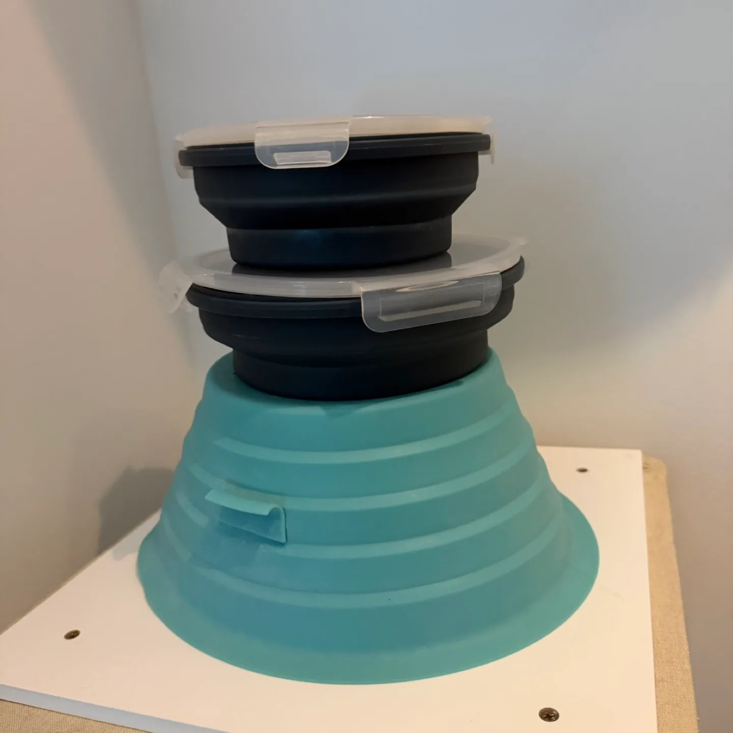 Collapsible Food Storage Containers + Microwave cover thumbnail
