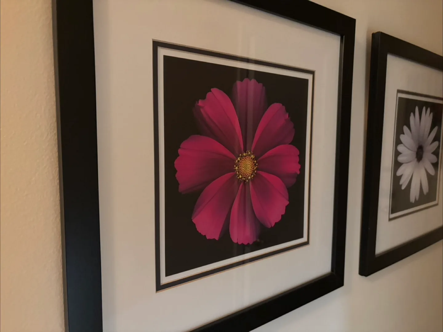 Framed Flower Prints - Set of 3 thumbnail