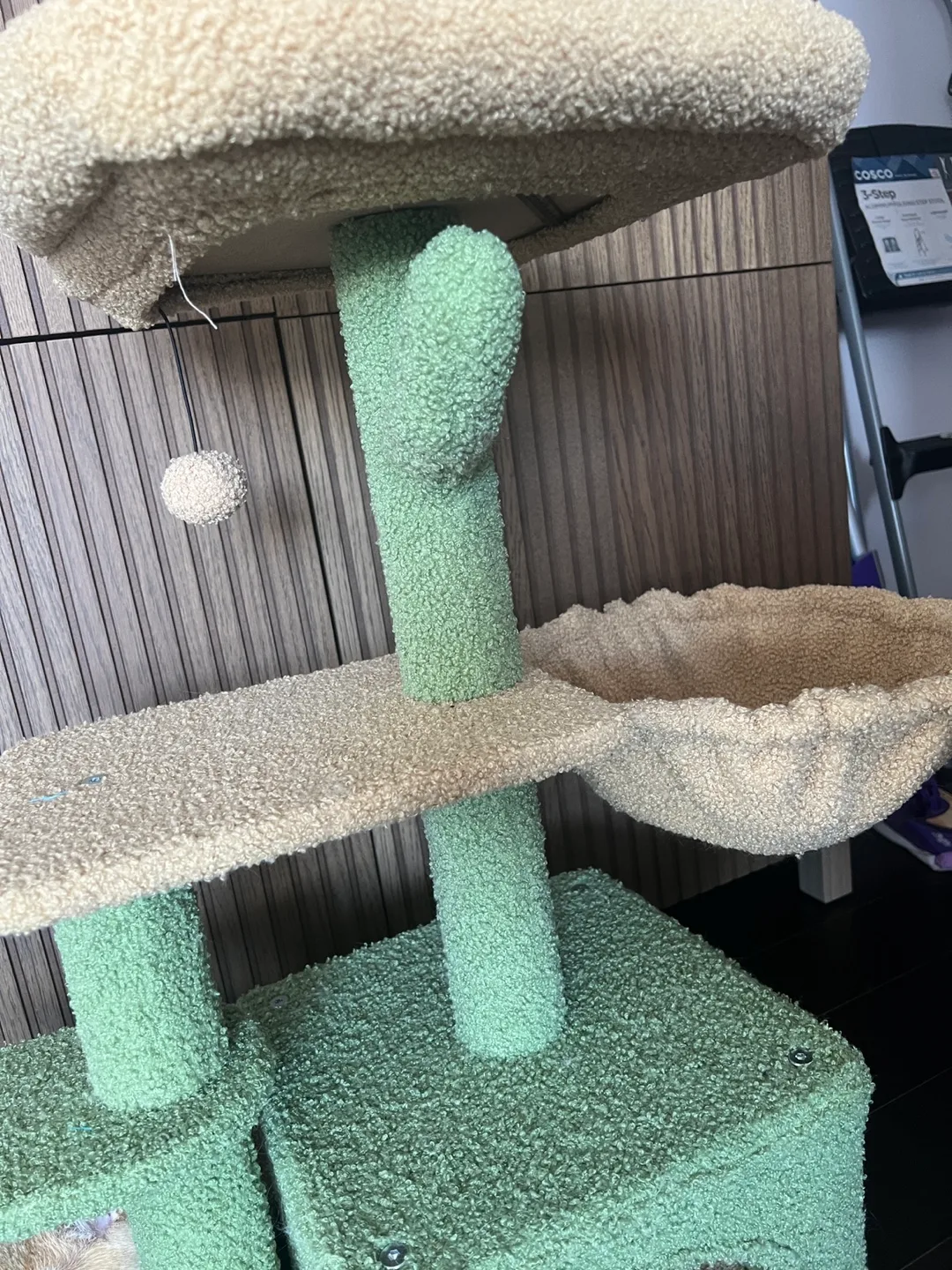 Cat Tree Cactus Style - Green & Beige image indicator(6)